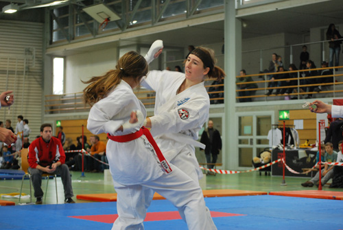 Galerie Schweizermeisterschaft Kumite 2010 Wohlen