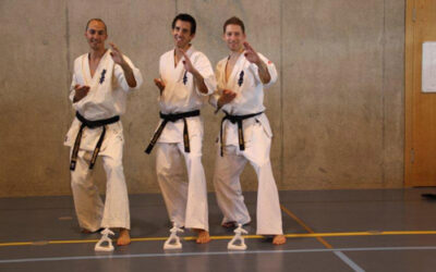 Kata Schweizermeisterschaft 2011
