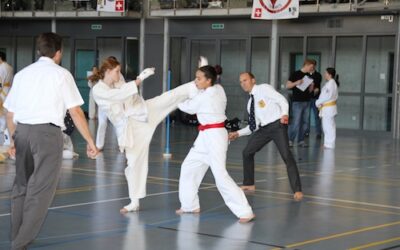 Karate Junioren-Schweizermeisterschaft 2011 in Schiers