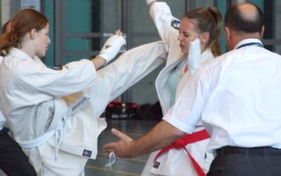 Kolibri Cup 2011