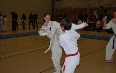 Bericht Kolibri Cup 2011