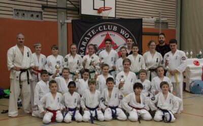 26. Kolibri-Cup in Wohlen