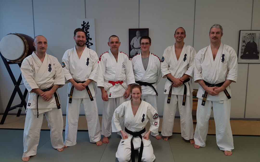 Dan-Seminar 2017